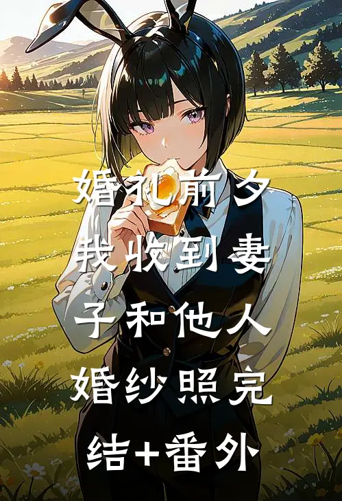 婚礼前夕，我收到妻子和他人婚纱照完结+番外