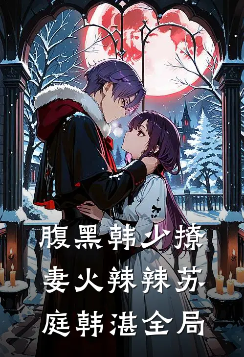 腹黑韩少撩妻火辣辣苏庭韩湛全局
