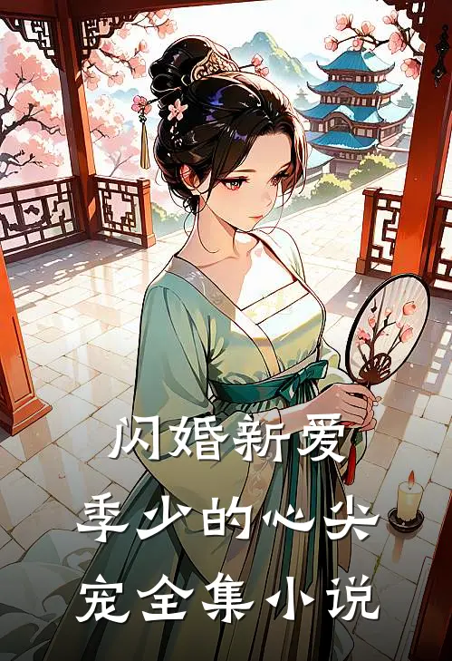 闪婚新爱：季少的心尖宠全集小说