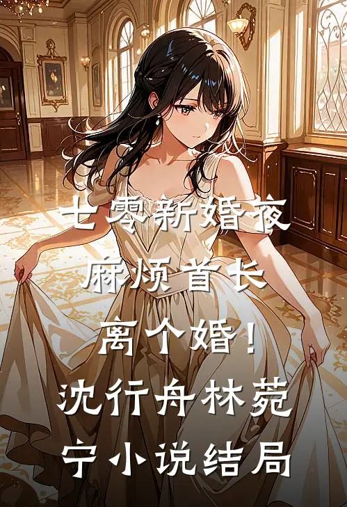 七零新婚夜，麻烦首长离个婚！沈行舟林菀宁小说结局