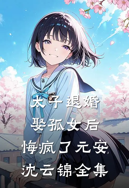 太子退婚娶孤女后，悔疯了元安沈云锦全集