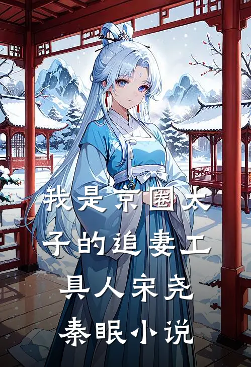我是京圈太子的追妻工具人宋尧秦眠小说
