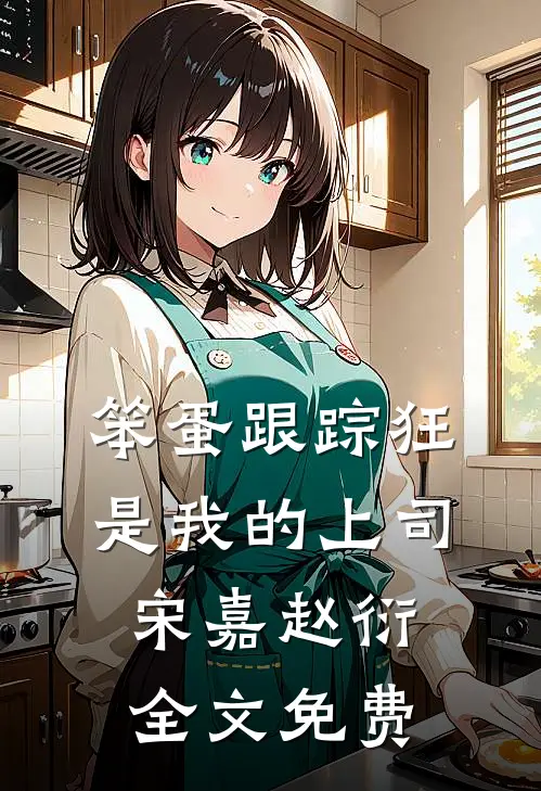 笨蛋跟踪狂是我的上司宋嘉赵衍全文免费