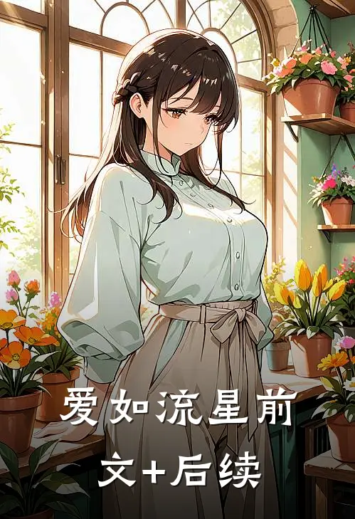 爱如流星前文+后续