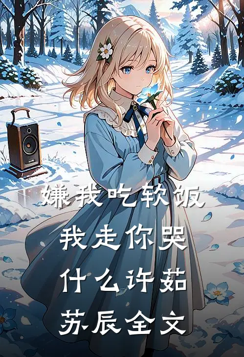 嫌我吃软饭，我走你哭什么许茹苏辰全文