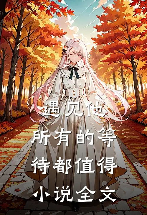 遇见他，所有的等待都值得小说全文