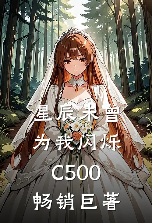 星辰未曾为我闪烁C500畅销巨著