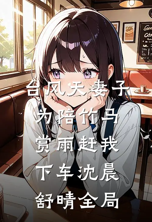 台风天妻子为陪竹马赏雨赶我下车沈晨舒晴全局