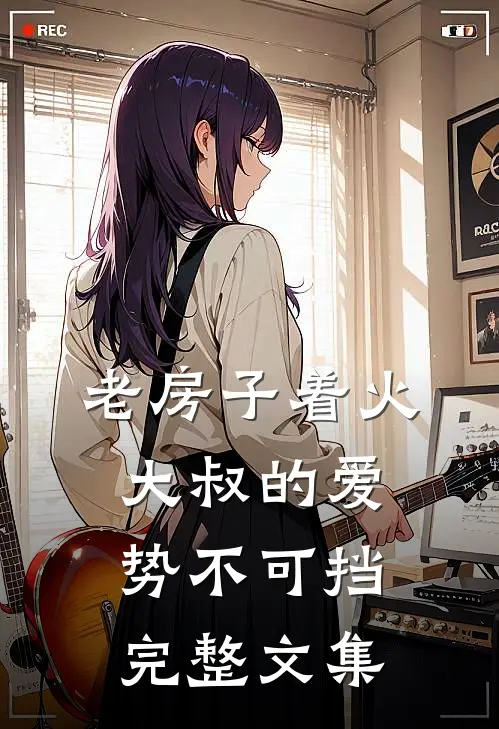 老房子着火：大叔的爱势不可挡完整文集