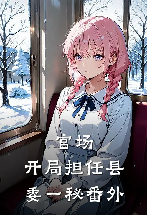 官场：开局担任县委一秘 番外